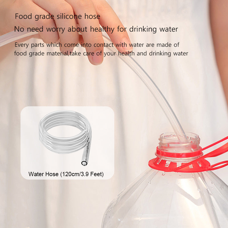 Electric water dispenser