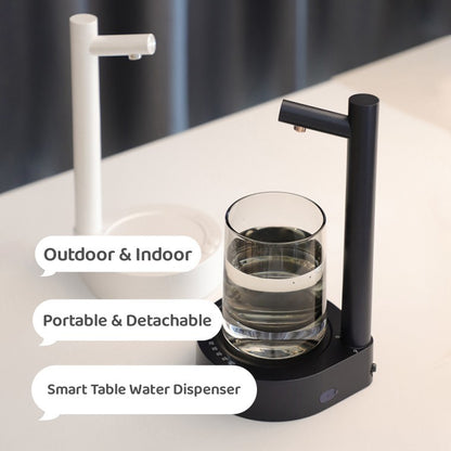 Electric water dispenser